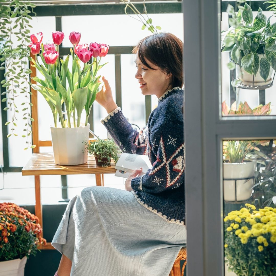 Nguyễn Hạnh Hà My