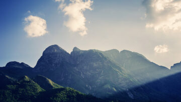  [Writing Challenge] Ngày 4 – một loài hoa có mối liên kết đặc biệt với mình